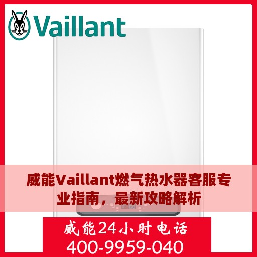 威能Vaillant燃气热水器客服专业指南，最新攻略解析