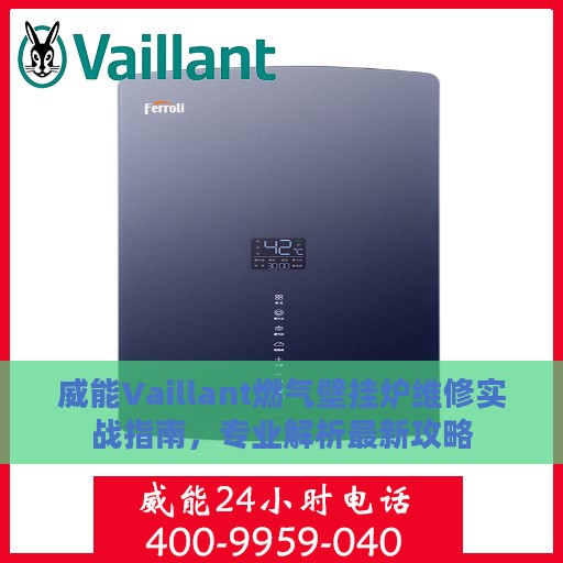 威能Vaillant燃气壁挂炉维修实战指南，专业解析最新攻略
