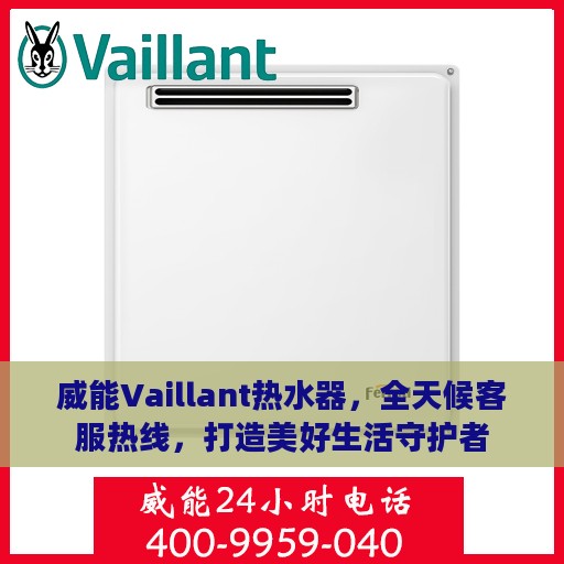 威能Vaillant热水器，全天候客服热线，打造美好生活守护者