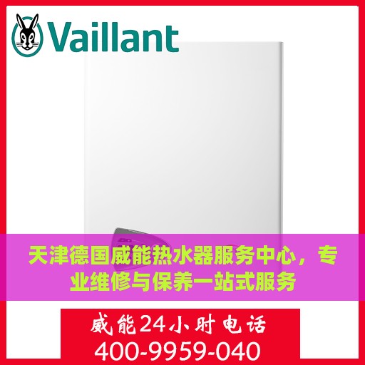 天津德国威能热水器服务中心，专业维修与保养一站式服务