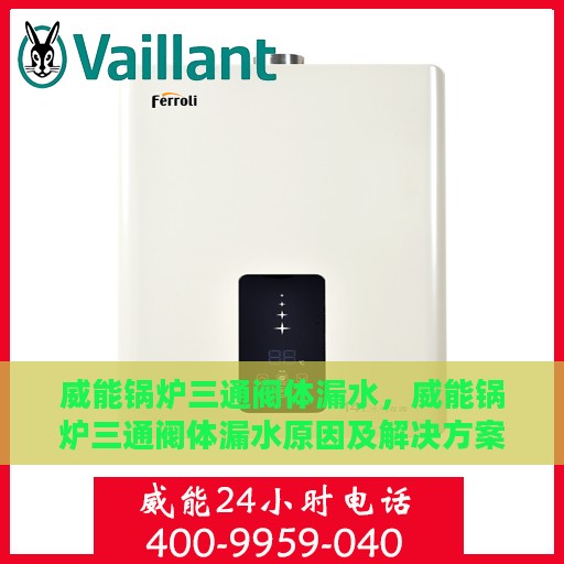 威能锅炉三通阀体漏水，威能锅炉三通阀体漏水原因及解决方案探讨