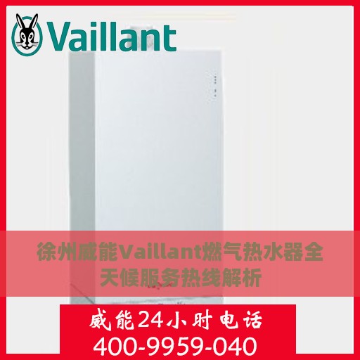 徐州威能Vaillant燃气热水器全天候服务热线解析
