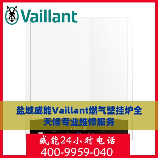 盐城威能Vaillant燃气壁挂炉全天候专业维修服务