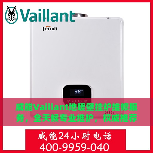 威能Vaillant地暖壁挂炉维修服务，全天候专业维护，权威推荐解决方案