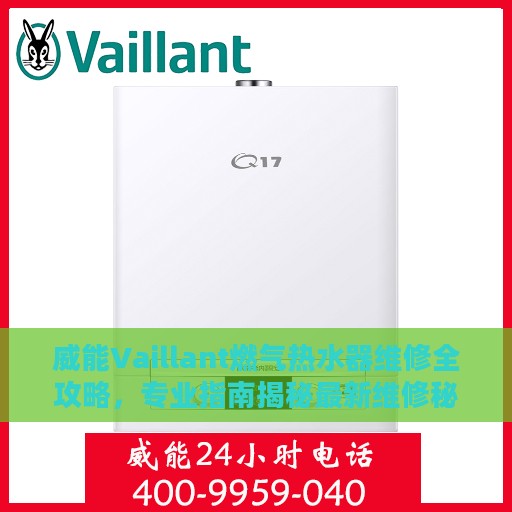 威能Vaillant燃气热水器维修全攻略，专业指南揭秘最新维修秘籍