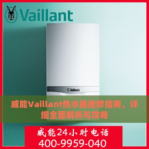 威能Vaillant热水器维修指南，详细全面解析与攻略