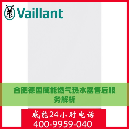 合肥德国威能燃气热水器售后服务解析