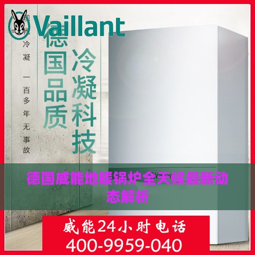 德国威能地暖锅炉全天候最新动态解析