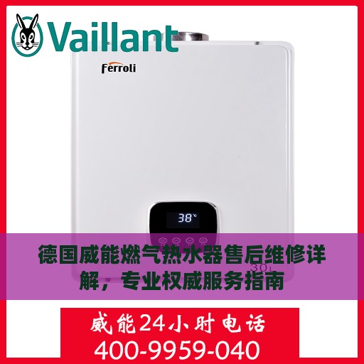 德国威能燃气热水器售后维修详解，专业权威服务指南
