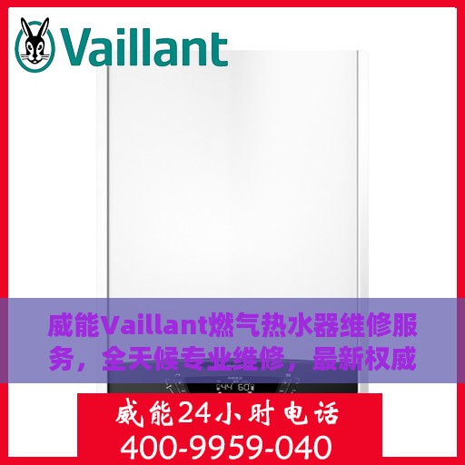 威能Vaillant燃气热水器维修服务，全天候专业维修，最新权威推荐指南
