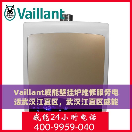 Vaillant威能壁挂炉维修服务电话武汉江夏区，武汉江夏区威能壁挂炉维修服务热线及解决方案