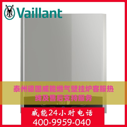 泰州德国威能燃气壁挂炉客服热线及售后支持服务