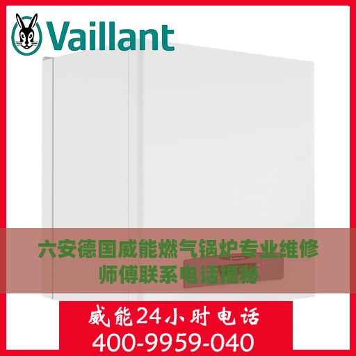 六安德国威能燃气锅炉专业维修师傅联系电话揭秘