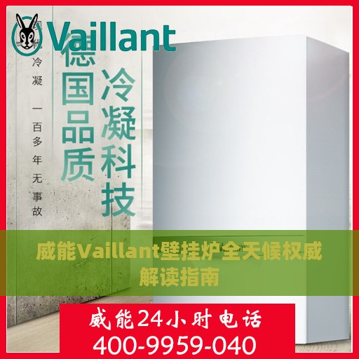 威能Vaillant壁挂炉全天候权威解读指南