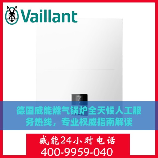 德国威能燃气锅炉全天候人工服务热线，专业权威指南解读