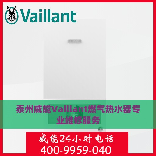 泰州威能Vaillant燃气热水器专业维修服务