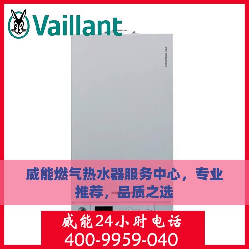 威能燃气热水器服务中心，专业推荐，品质之选