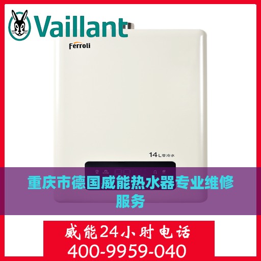 重庆市德国威能热水器专业维修服务