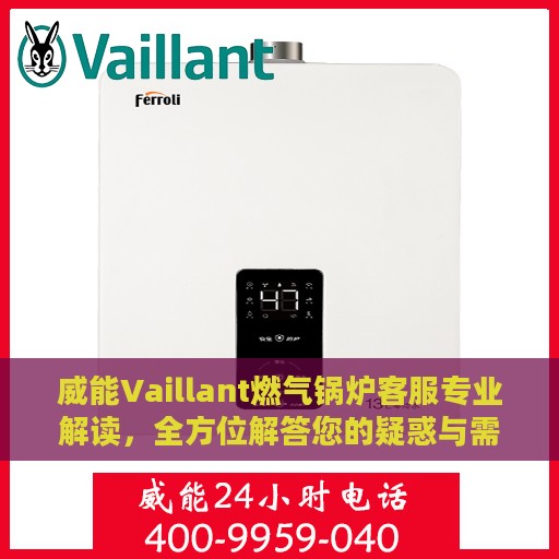 威能Vaillant燃气锅炉客服专业解读，全方位解答您的疑惑与需求
