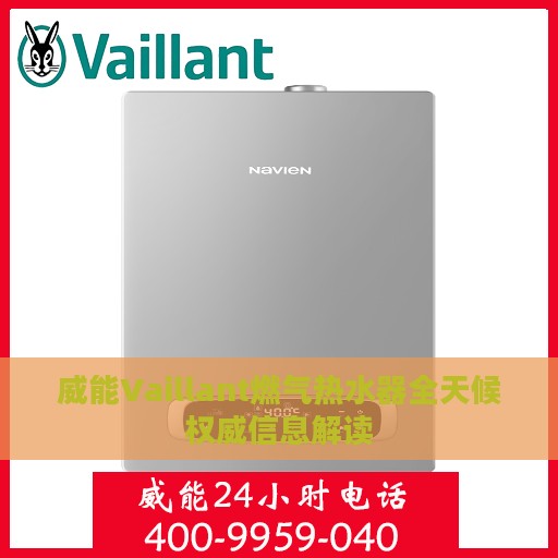 威能Vaillant燃气热水器全天候权威信息解读