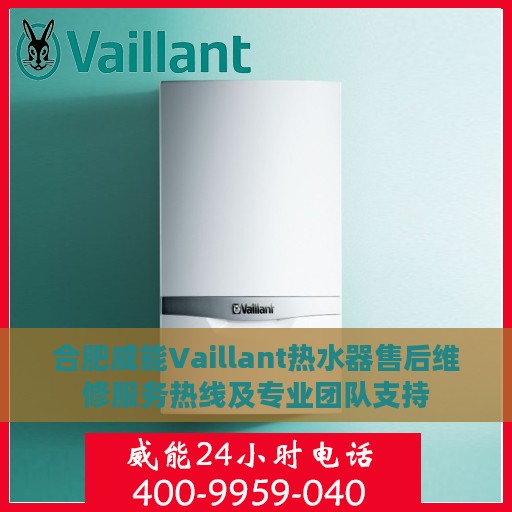 合肥威能Vaillant热水器售后维修服务热线及专业团队支持