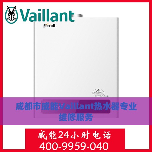 成都市威能Vaillant热水器专业维修服务