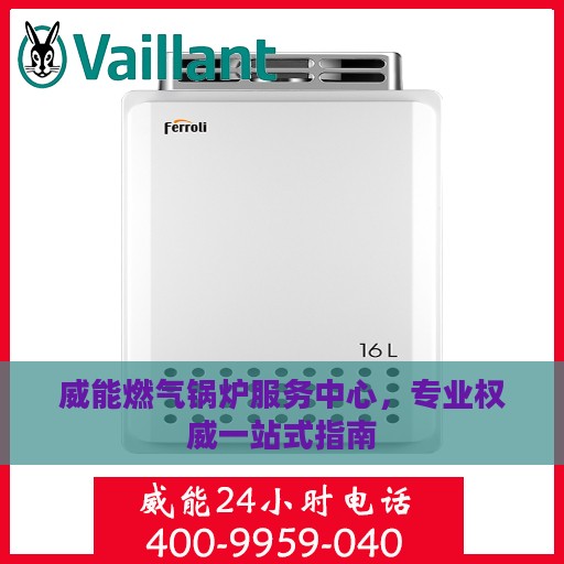威能燃气锅炉服务中心，专业权威一站式指南