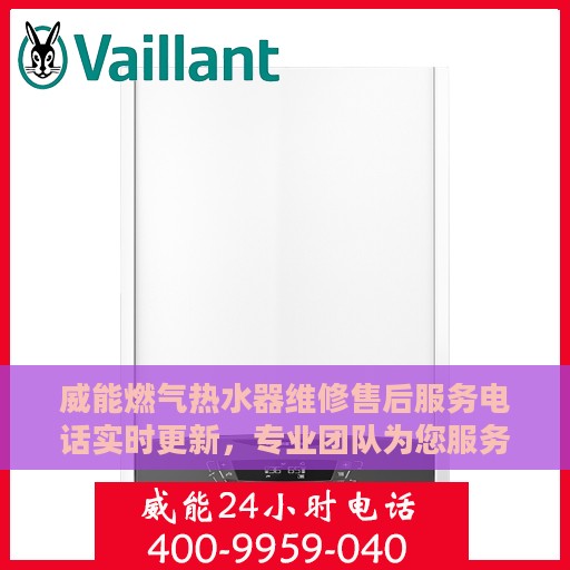 威能燃气热水器维修售后服务电话实时更新，专业团队为您服务