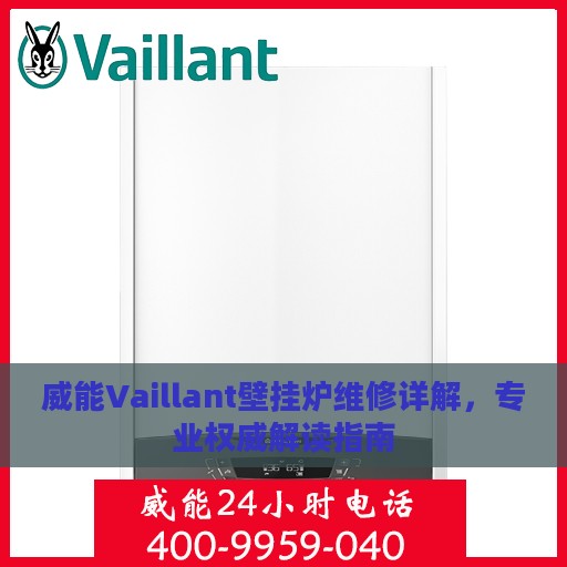 威能Vaillant壁挂炉维修详解，专业权威解读指南