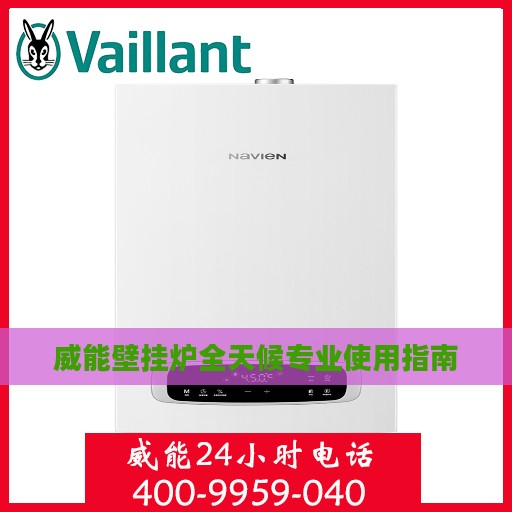 威能壁挂炉全天候专业使用指南