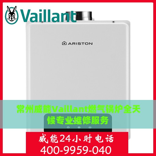 常州威能Vaillant燃气锅炉全天候专业维修服务