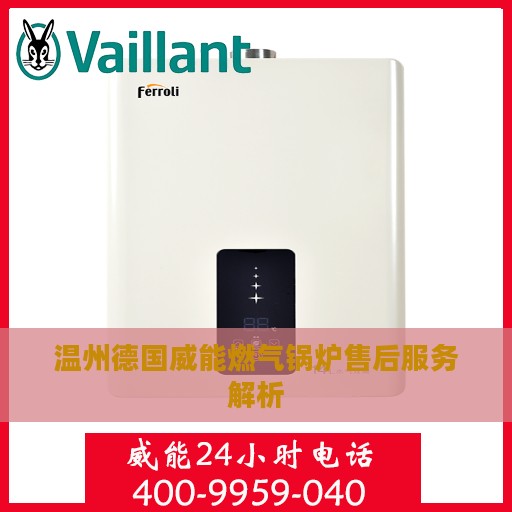 温州德国威能燃气锅炉售后服务解析