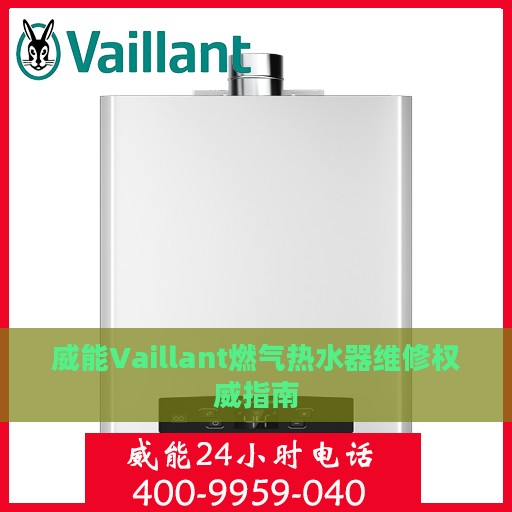 威能Vaillant燃气热水器维修权威指南