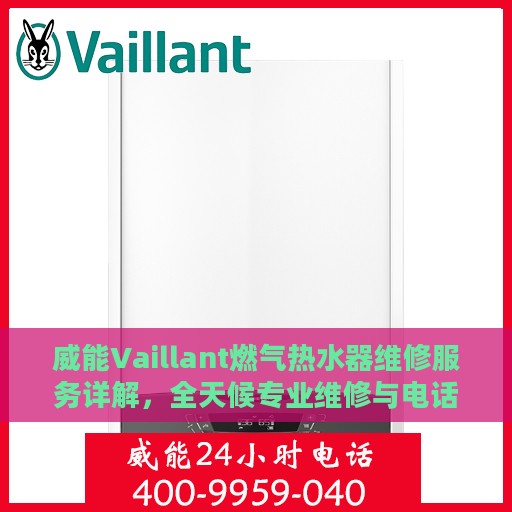 威能Vaillant燃气热水器维修服务详解，全天候专业维修与电话支持指南