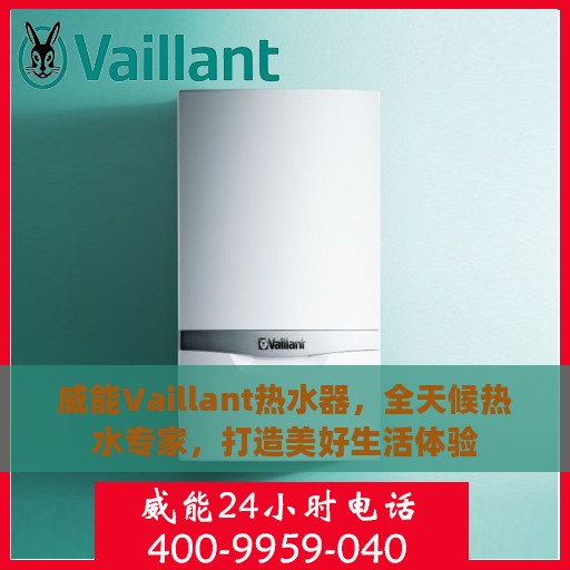 威能Vaillant热水器，全天候热水专家，打造美好生活体验