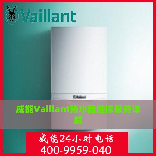 威能Vaillant热水器维修服务详解