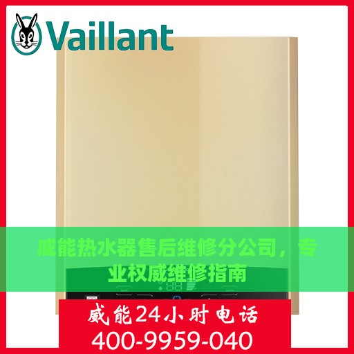 威能热水器售后维修分公司，专业权威维修指南
