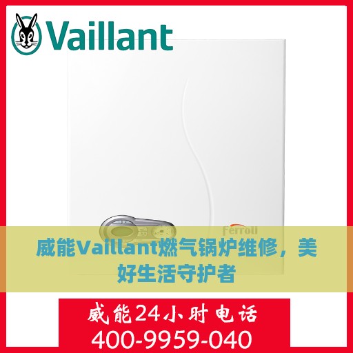 威能Vaillant燃气锅炉维修，美好生活守护者