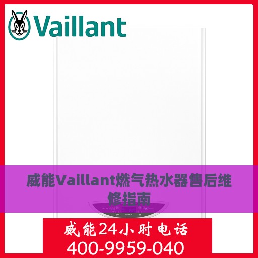 威能Vaillant燃气热水器售后维修指南