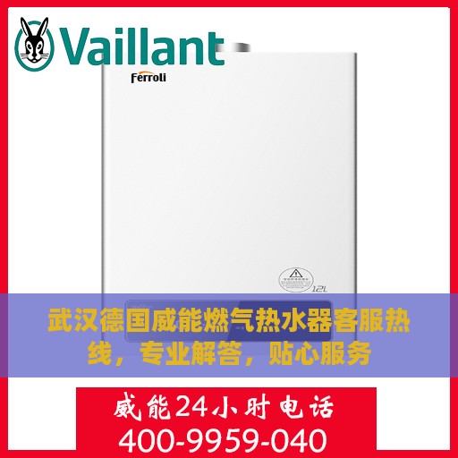 武汉德国威能燃气热水器客服热线，专业解答，贴心服务