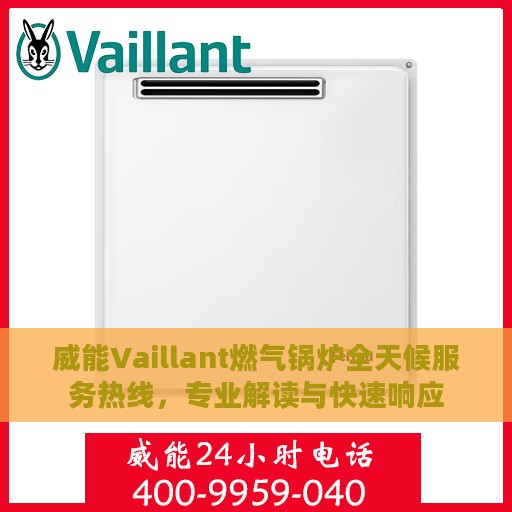 威能Vaillant燃气锅炉全天候服务热线，专业解读与快速响应