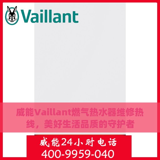 威能Vaillant燃气热水器维修热线，美好生活品质的守护者