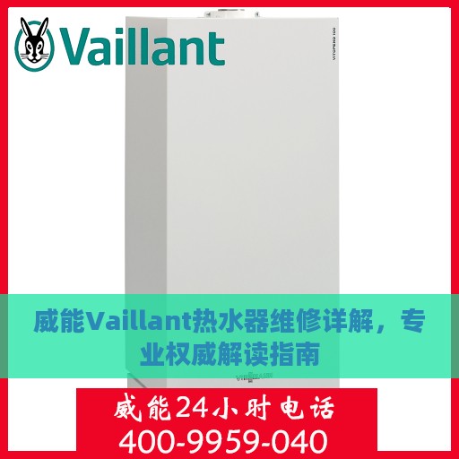 威能Vaillant热水器维修详解，专业权威解读指南