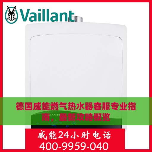 德国威能燃气热水器客服专业指南，最新攻略概览