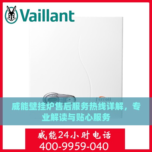 威能壁挂炉售后服务热线详解，专业解读与贴心服务