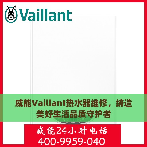 威能Vaillant热水器维修，缔造美好生活品质守护者