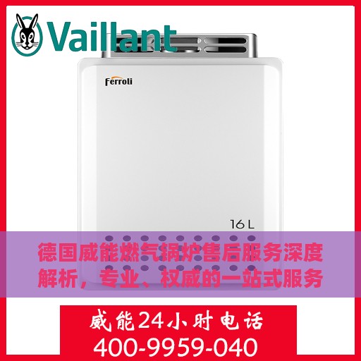 德国威能燃气锅炉售后服务深度解析，专业、权威的一站式服务体验