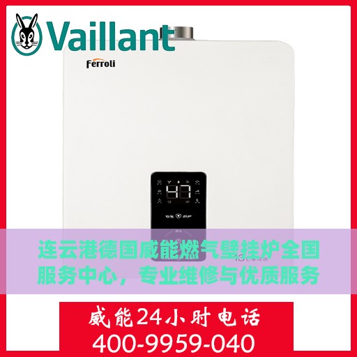连云港德国威能燃气壁挂炉全国服务中心，专业维修与优质服务同步进行