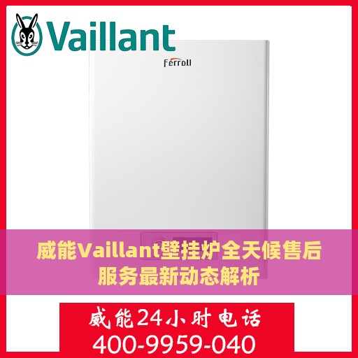 威能Vaillant壁挂炉全天候售后服务最新动态解析