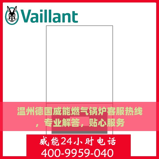 温州德国威能燃气锅炉客服热线，专业解答，贴心服务